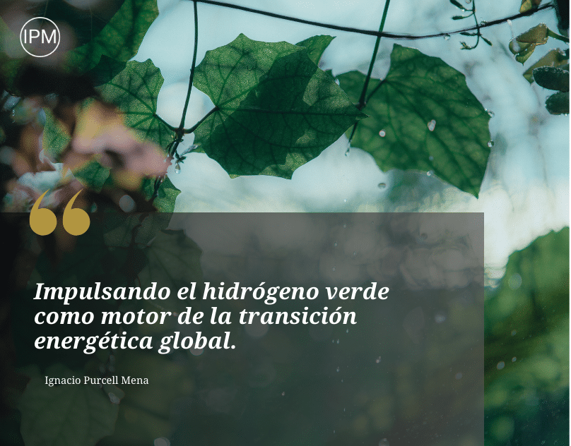 Ignacio Purcell Mena: Pionero en Revolucionar la Energía Sostenible con Hidrógeno Verde 1 Silvia Pastor