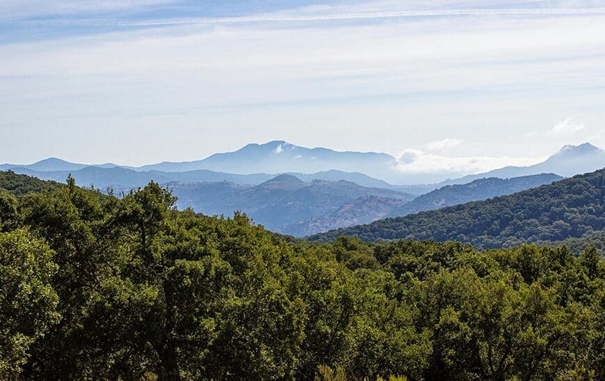 Inteligencia Artificial: Impulsora de la Sostenibilidad Económica, Social y Ambiental en Proyectos de Andalucía
