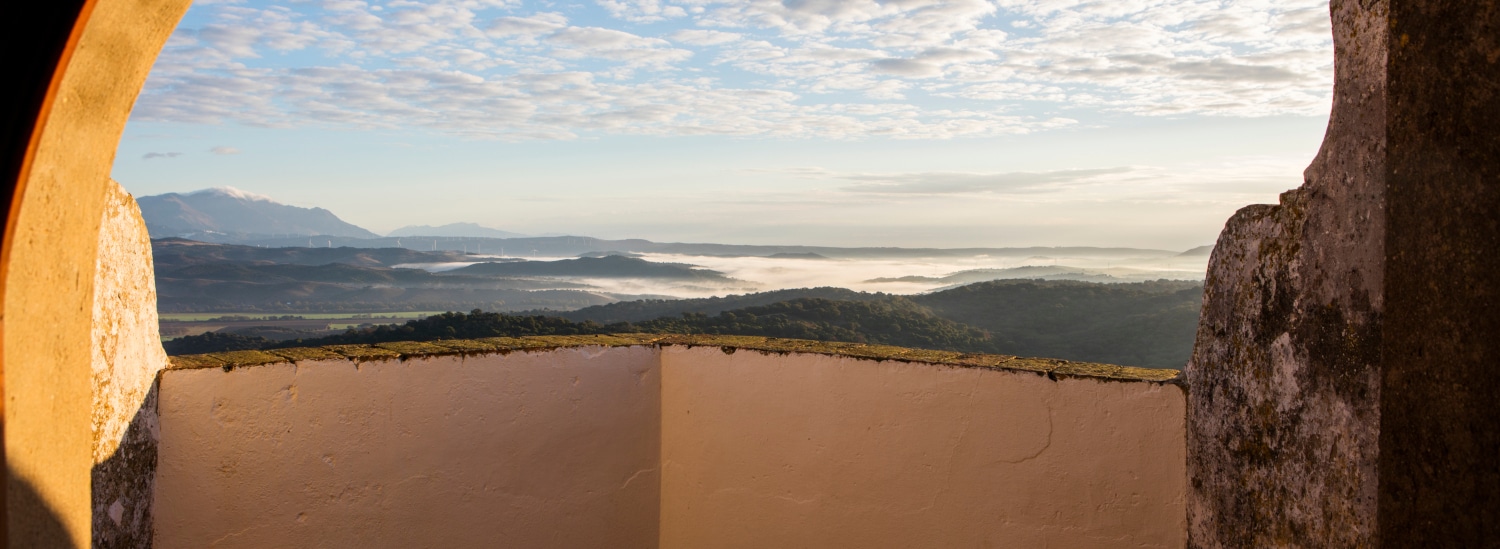 Los Hoteles de Tugasa Cierran 2025 con un Crecimiento Anual del 11,5% en Ocupación 1 Los Hoteles de Tugasa Cierran 2025 con un Crecimiento Anual del 11,5% en Ocupación