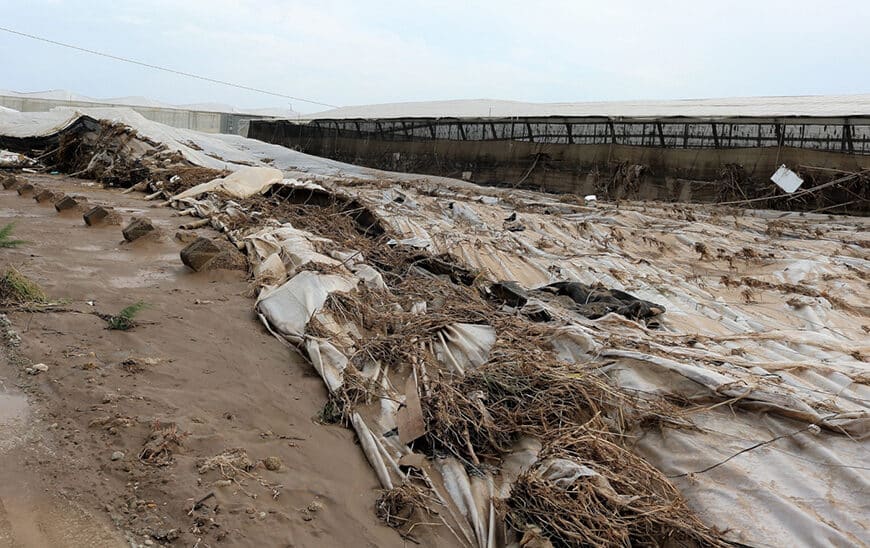 Más de 17,000 Agricultores y Ganaderos Recibirán 16.6 Millones en Seguros Agrarios en 2025