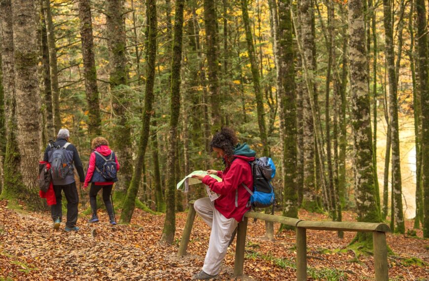 Elena Digital López