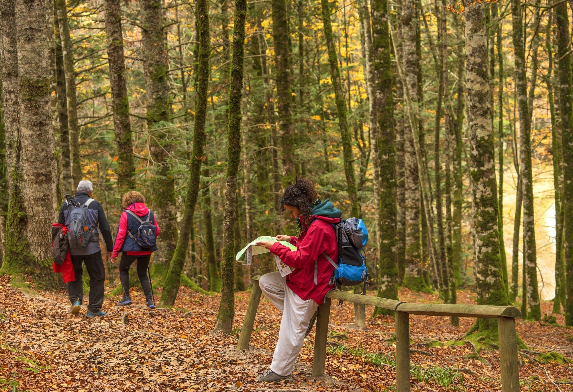 Navarra Lidera el Cambio: Introducción Pionera del Turismo Regenerativo en España 1 Elena Digital López
