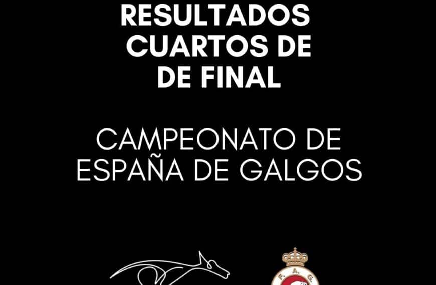 Resultados de los Cuartos de Final del Campeonato de España de Galgos
