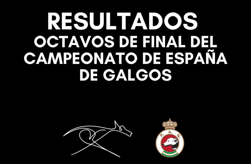 Resultados de los Octavos de Final del Campeonato de España de Galgos
