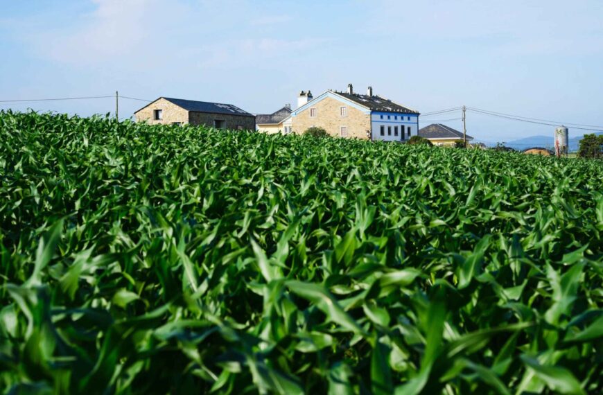 El Fondo de la Comunidad de Airbnb dona más de 2 millones de dólares a 28 organizaciones sin ánimo de lucro en Europa