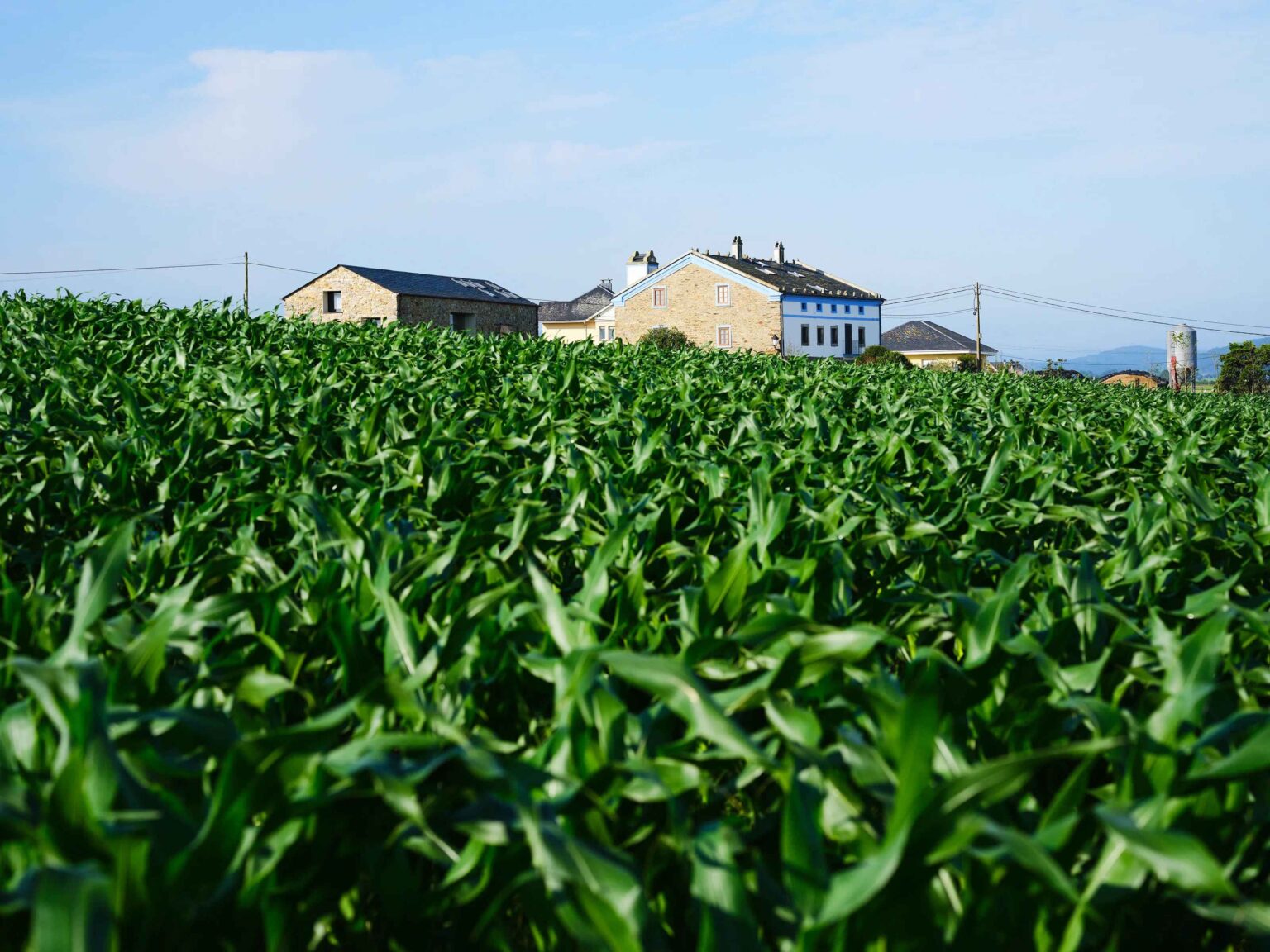 Airbnb Fortalece el Impacto Social en Europa con Donación de Más de 2 Millones de Dólares a 28 ONG 1 El Fondo de la Comunidad de Airbnb dona más de 2 millones de dólares a 28 organizaciones sin ánimo de lucro en Europa