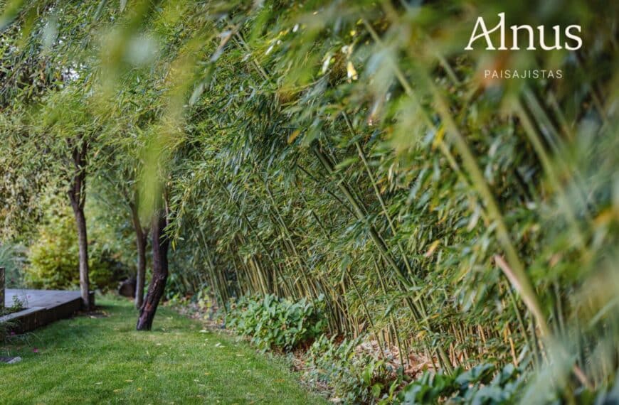 Alnus Paisajistas consolida su trayectoria como estudio de paisajismo sostenible en Madrid