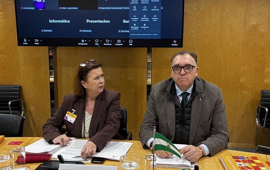 Andalucía Solicita al Gobierno Incluir al Sector Turístico en la Declaración de Zona Catastrófica por el Impacto de las Borrascas