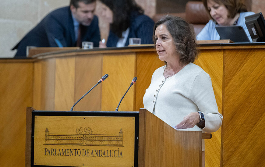 Aprobación de la Nueva Ley de Montes de Andalucía: Renovación Normativa Tras Tres Décadas