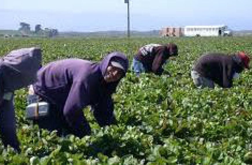 Trabajadores inmigrantes