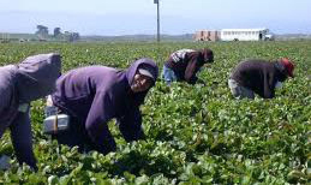 CCOO Demandas al Gobierno Andaluz un Nuevo Plan de Inclusión para Inmigrantes con Compromiso Presupuestario y Refuerzo de Servicios Públicos 1 Trabajadores inmigrantes