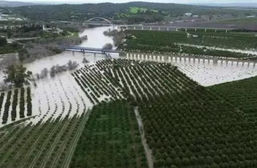 CCOO pide que se eliminen las peonadas mínimas para poder acceder al subsidio y al paro agrícola por los efectos del tren de borrascas sobre el empleo agrario.
