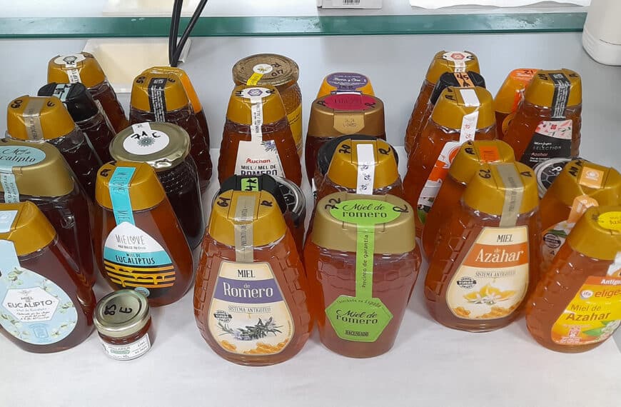 Científicos Andaluces Desarrollan Método para Determinar el Origen de la Miel mediante su Aroma