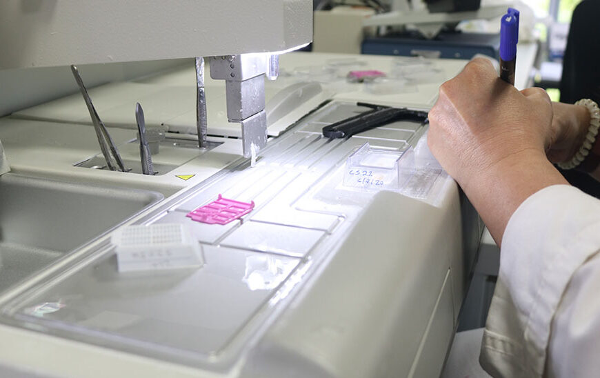 Creación de Nuevas Categorías: Andalucía Introduce Facultativos y Enfermeras Especialistas Clínicos Investigadores