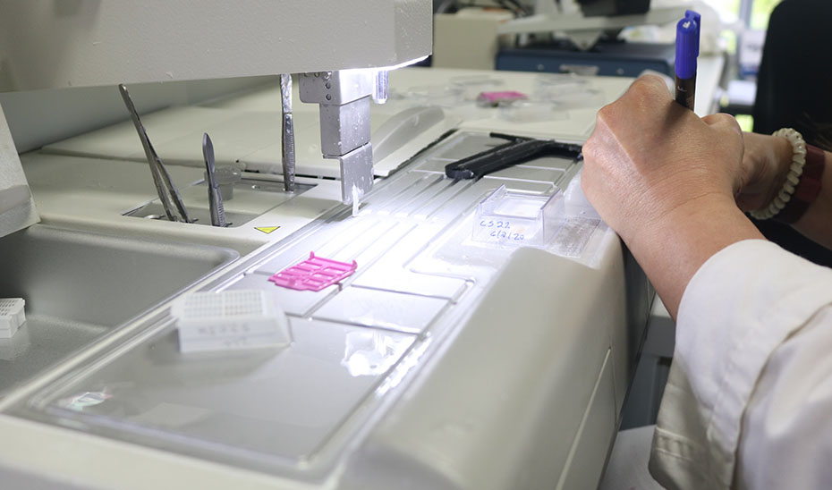 Creación de Nuevas Categorías: Andalucía Introduce Facultativos y Enfermeras Especialistas Clínicos Investigadores