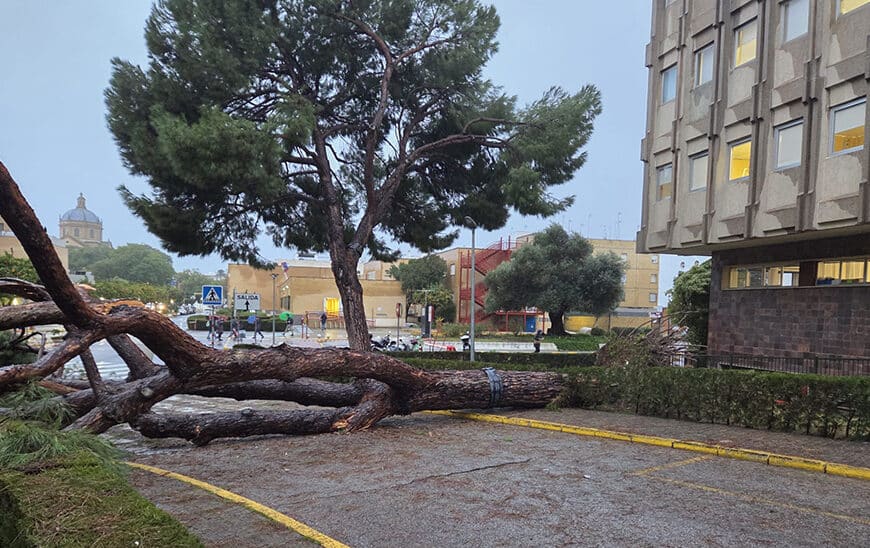 Daños en Centros Sanitarios por Tren de Borrascas Ascienden a 14 Millones según la Junta