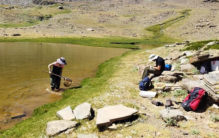 Evaluación de la Cadena Alimentaria en Lagos de Sierra Nevada: Predicciones ante el Cambio Climático