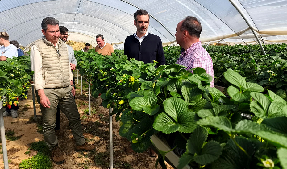 Huelva Lidera la Exportación de Frutos Rojos en Andalucía: 90% Exportado entre Enero y Noviembre de 2025 1 Huelva Lidera la Exportación de Frutos Rojos en Andalucía: 90% Exportado entre Enero y Noviembre de 2025