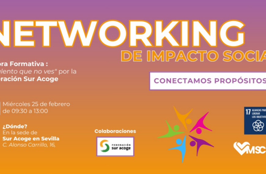 Impacto Social a través del Networking en Sevilla - Federación Sur Acoge