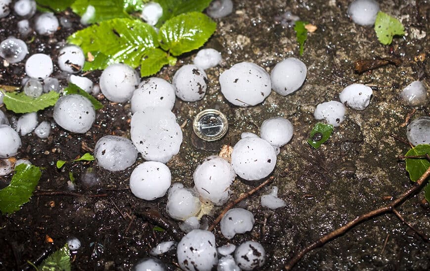 Impulso a la Protección Agraria: Andalucía Destina más de 16 Millones en Ayudas para Seguros Agrarios