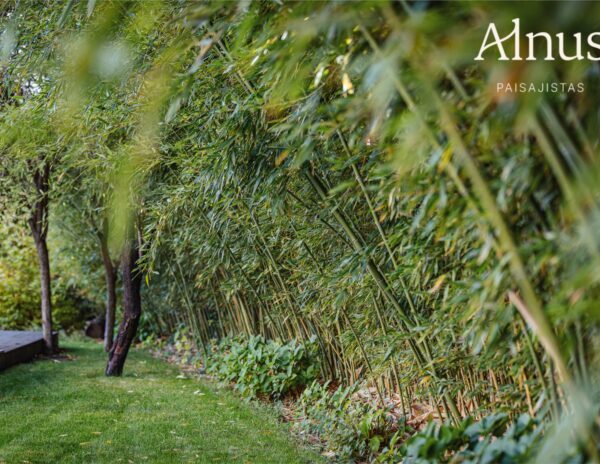 Alnus Paisajistas consolida su trayectoria como estudio de paisajismo sostenible en Madrid