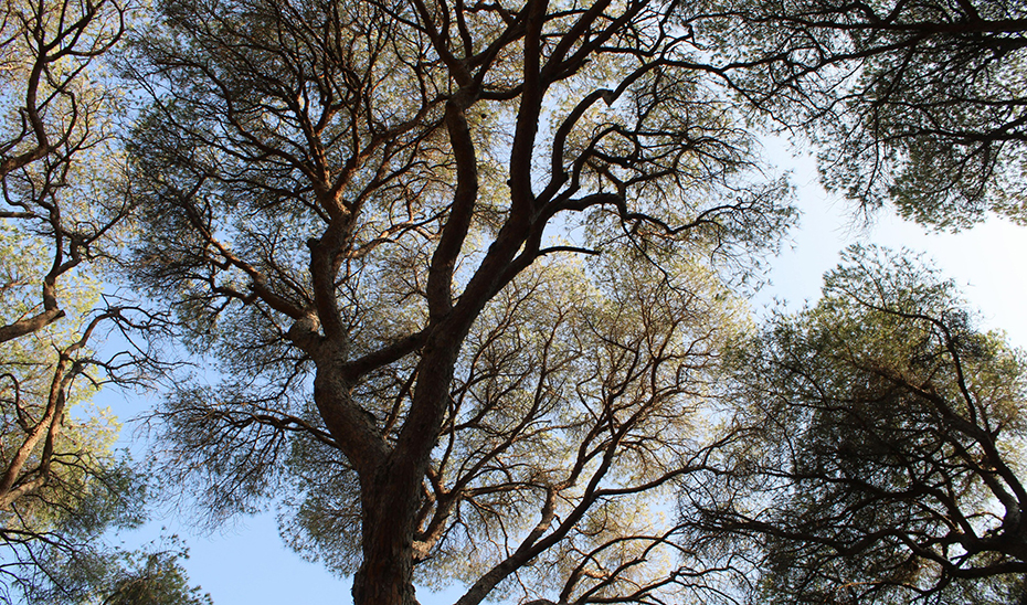 Inversión en Acción Climática: La Junta Alcanza 9.363 Millones desde 2021 1 Inversión en Acción Climática: La Junta Alcanza 9.363 Millones desde 2021