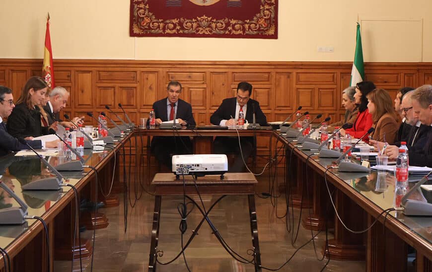 Junta y TSJA Exigen 158 Jueces para Andalucía, Contradiciendo los 95 Propuestos por el Ministerio