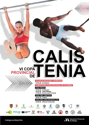 Cartel copa prov calistenia 2026 ALTA