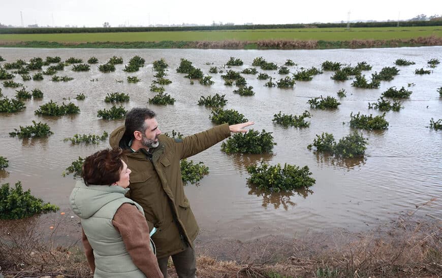 La Junta Busca Declaración de Catástrofe Natural para Andalucía a Través del Comité de Gestión