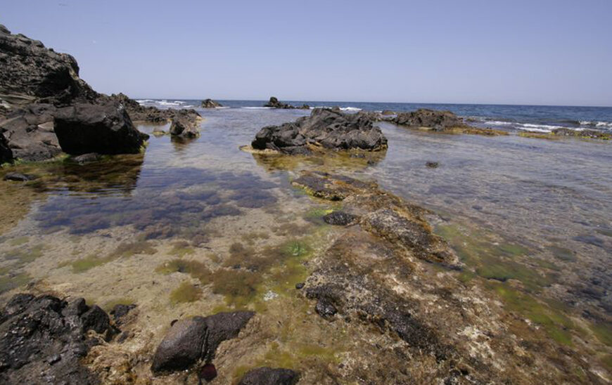 La Junta Declara la Isla de Alborán como Zona Especial de Conservación y Aprueba su Plan de Gestión
