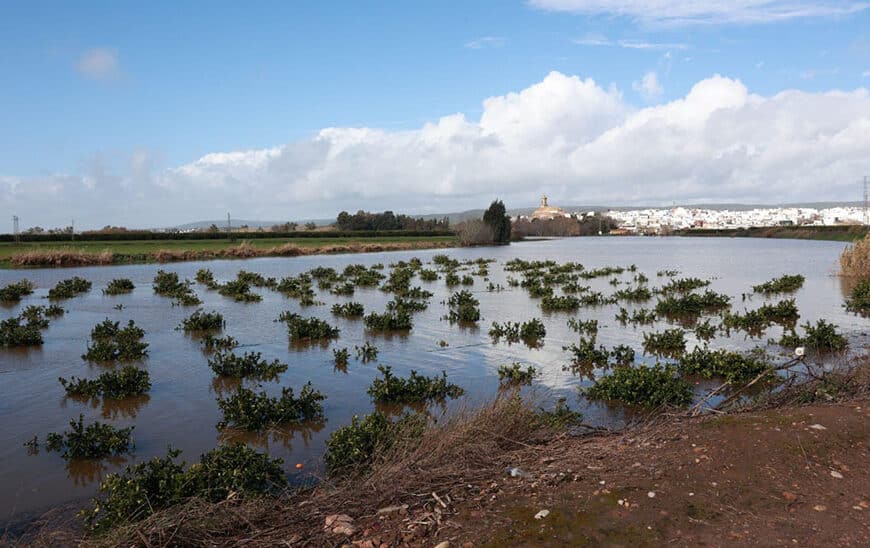 La Junta Solicita al Gobierno Flexibilización de la PAC y Activación de Reserva Agrícola por Daños de Borrascas