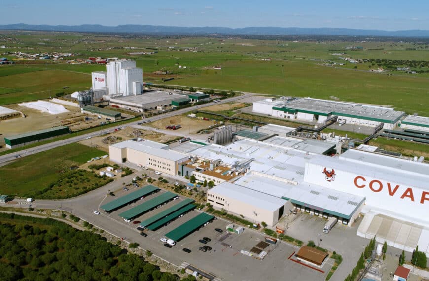 Las Cooperativas Agroalimentarias Andaluzas: Líderes en el Ranking de Empresas Más Relevantes de la Economía Social en España