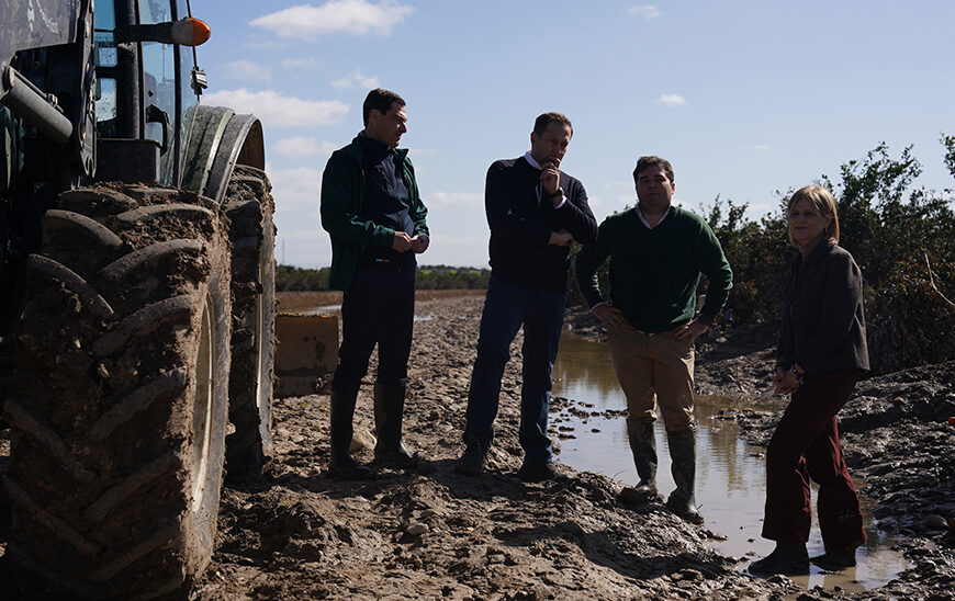 Moreno Insta a Europa a Unirse Rápidamente al Plan 'Andalucía Actúa': "Os Necesitamos"