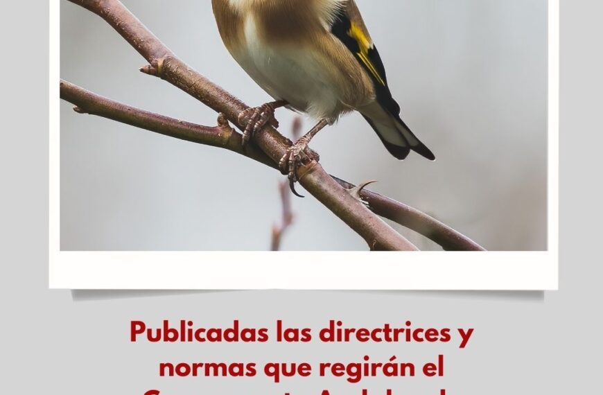 Publicación de las Directrices y Normas del Campeonato Andaluz de Silvestrismo 2026 por la Federación Andaluza de Caza