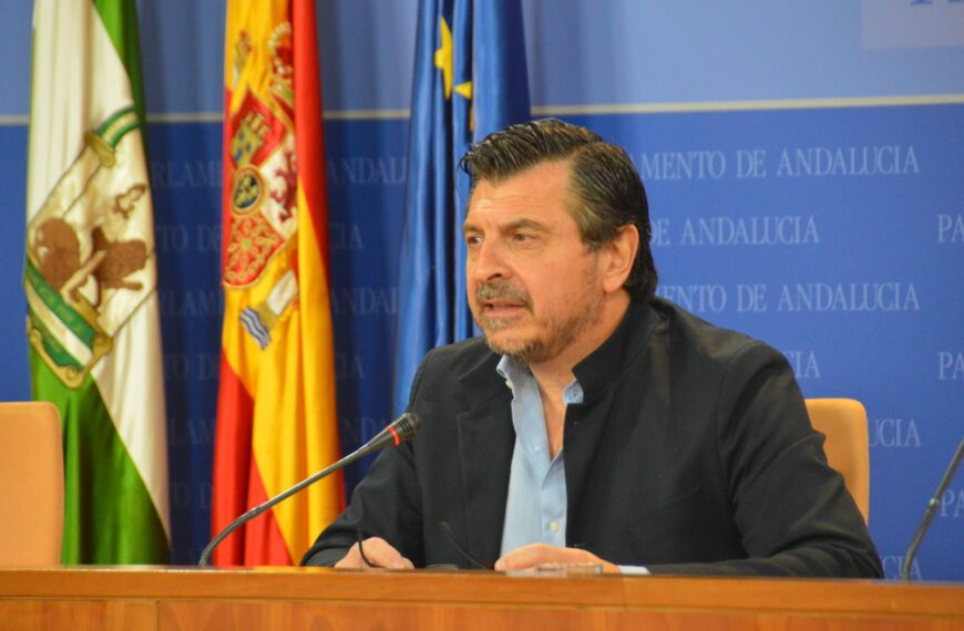 Toni Martín, en el Parlamento de Andalucía