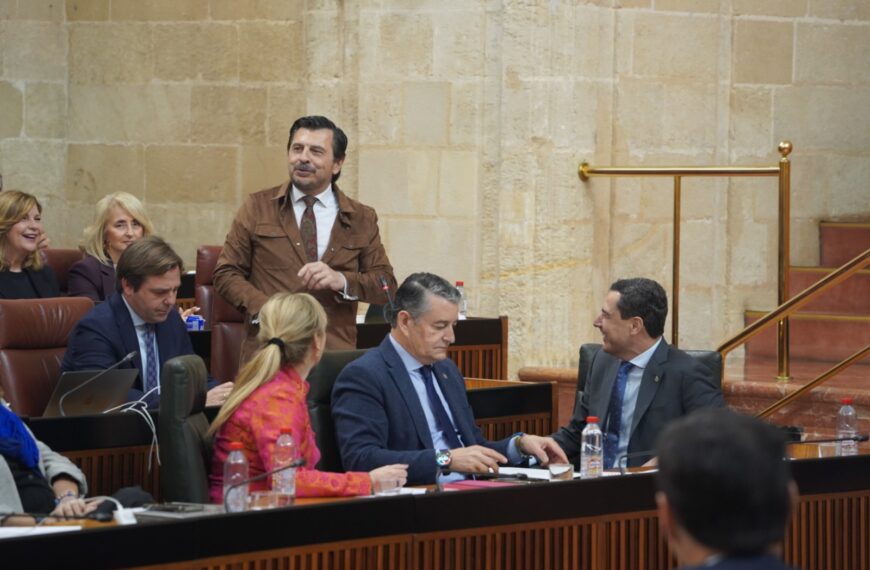 Toni Martín, en la sesión plenaria del Parlamento de Andalucía