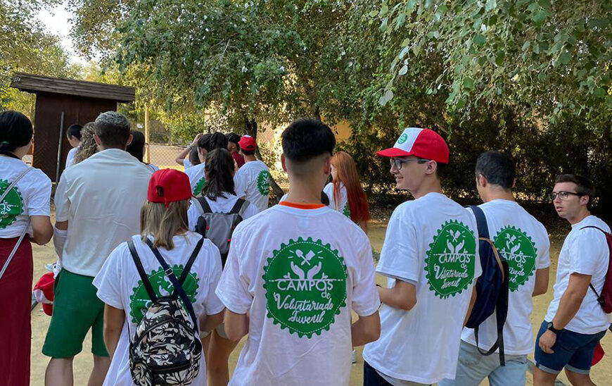 ¡Abiertas las Preinscripciones para los Campos de Voluntariado Juvenil en el Extranjero 2026!