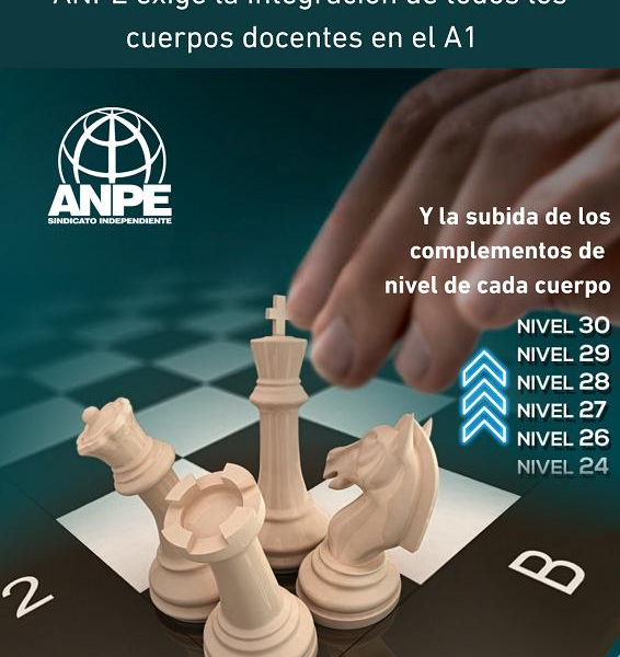 ANPE Urge al Gobierno a Integrar a Todo el Profesorado en el Subgrupo A1, Manteniendo los Actuales Cuerpos Docentes