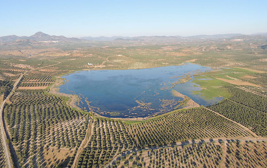Ampliación de la Recuperación de la Laguna del Salobral: La Junta Adquiere Nuevas Parcelas