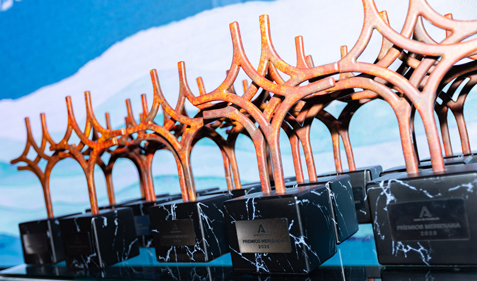 Ana Orantes: Reconocimiento Póstumo en los Premios Meridiana por su Voz Contra la Violencia Machista 1 Ana Orantes: Reconocimiento Póstumo en los Premios Meridiana por su Voz Contra la Violencia Machista