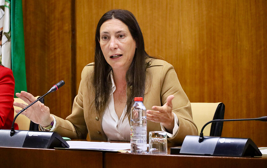 Andalucía Aumenta un 75% su Inversión en Protección de la Infancia y Adolescencia, Destinando 268,8 Millones