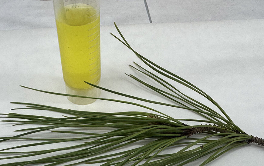 Andalucía Desarrolla Innovador Nanosensor para la Detección de Biomarcadores del Alzhéimer y Parkinson