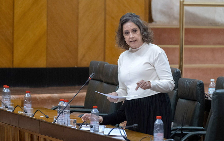 Andalucía Exige Nueva Ley de Costas que Garantice Seguridad Jurídica y Respete la Realidad Territorial del Litoral