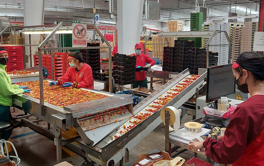 Andalucía recibe un impulso: Economía Social se fortalece con una inversión de 5,14 millones de Empleo