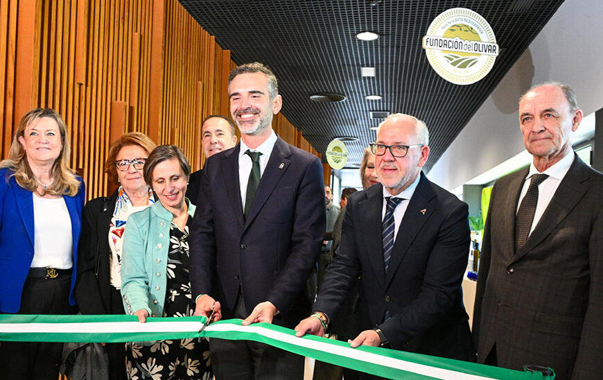 Avances Significativos: El 60% de la I Estrategia Andaluza para el Sector del Olivar en Marcha