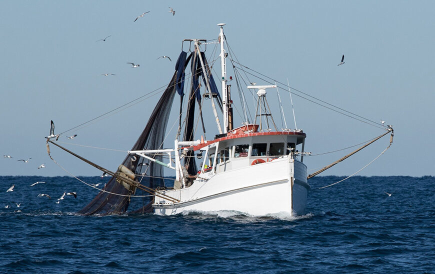 Convocatoria de Ayudas para la Recuperación de la Capacidad Productiva de la Flota Pesquera