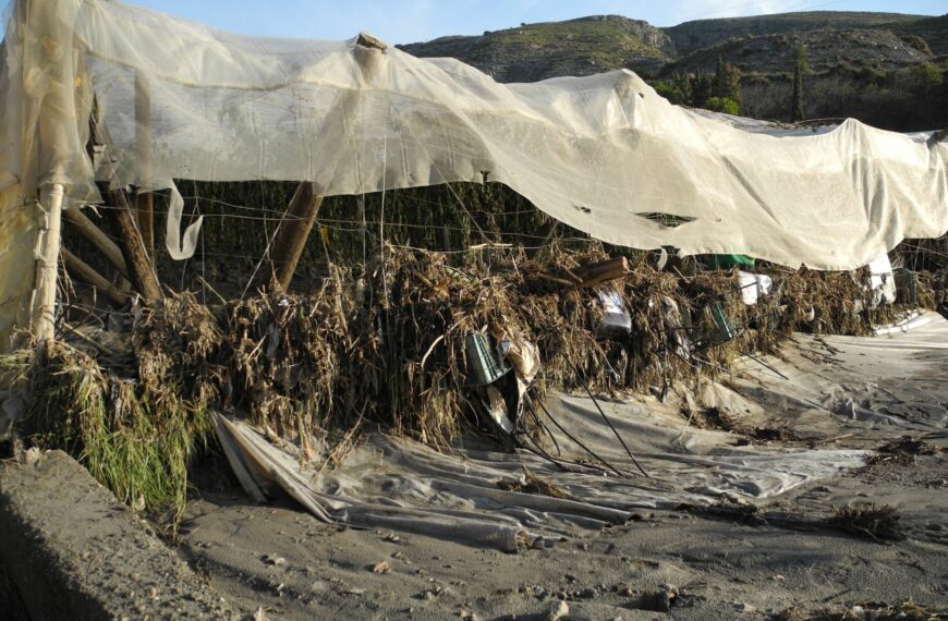 Cooperativas Agro-alimentarias de Andalucía solicita la ampliación de ayudas del Ministerio tras excluir al 28% de los municipios afectados por el tren de borrascas