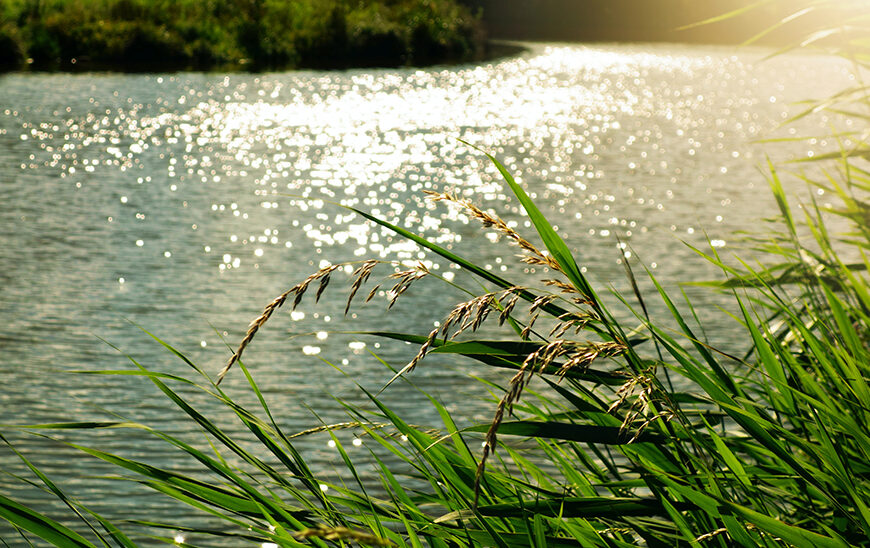 Declaración de Emergencia para Iniciar Mejoras en Cauces Dañados por Borrascas