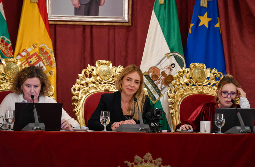 El Debate del Pleno de Marzo en la Diputación: El Apoyo a los Servicios Públicos en el Centro de la Controversia