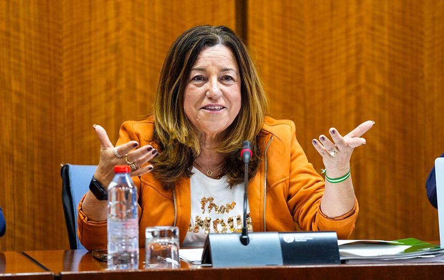 El Gobierno Andaluz Resalta el Progreso de la Educación Según Principales Indicadores